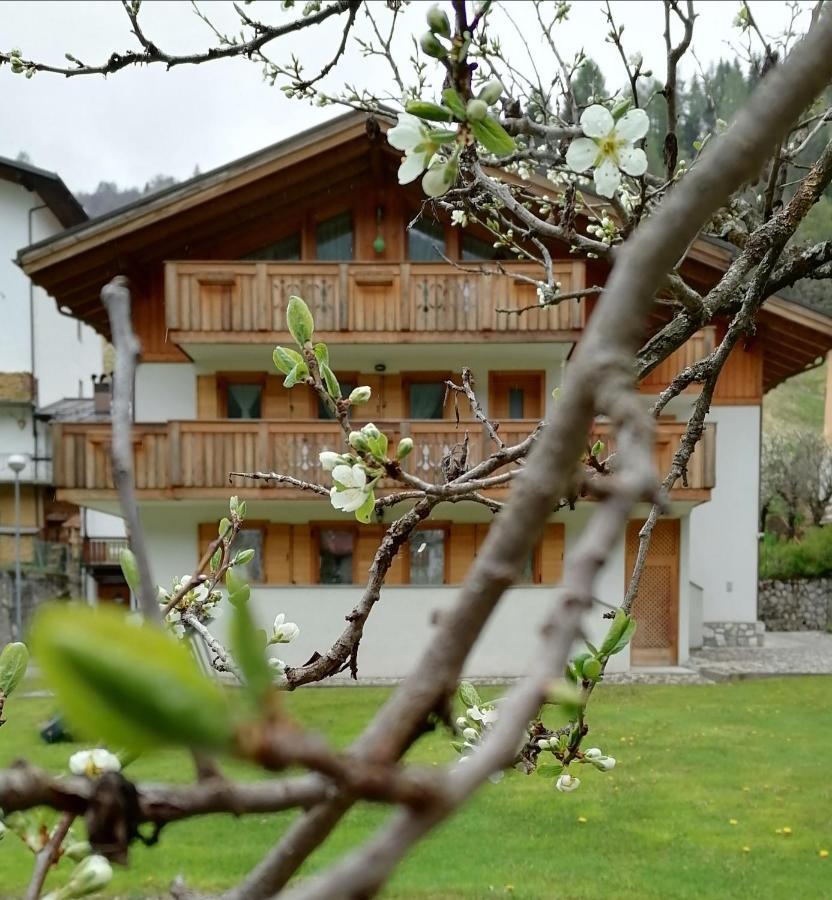 B&B Il Tulipano サン・ピエトロ・ディ・カドーレ エクステリア 写真
